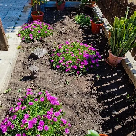 Trs Апартамент *